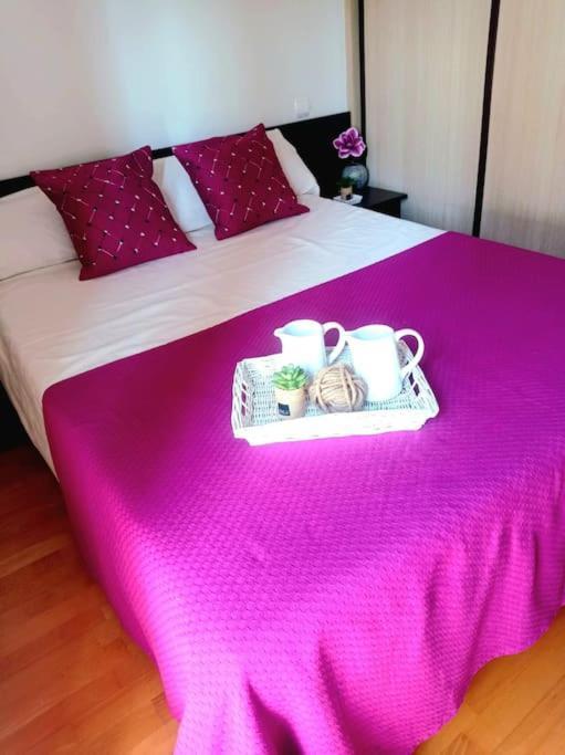 Acogedor Apartamento Con Piscina Y Garaje Appartement Huesca Buitenkant foto
